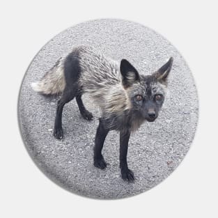 Silver Fox Pin