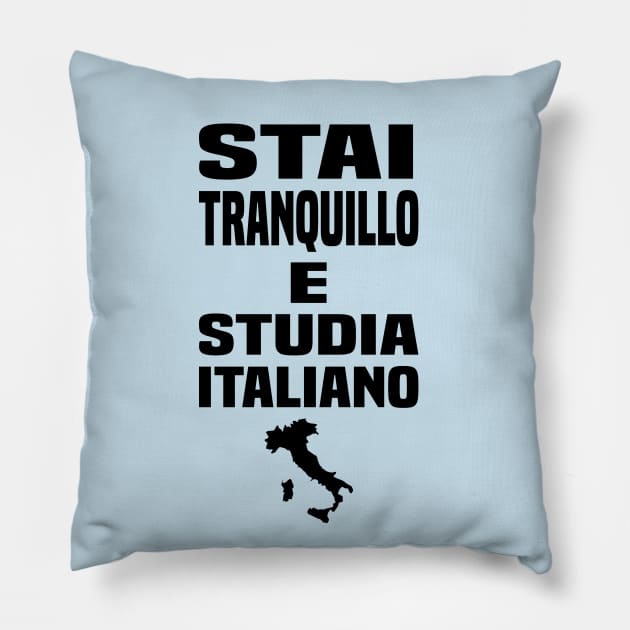 Be Calm Study Italian Pillow by TaliDe