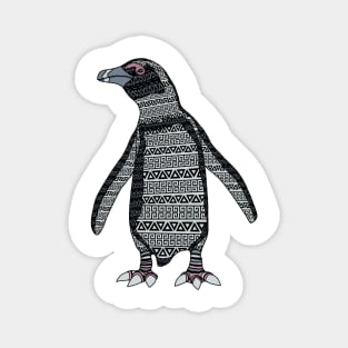 African Penguin Pattern - Colour Magnet