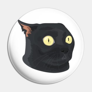 Black cat surprised Pin