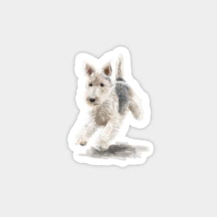 The Fox Terrier Magnet