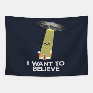 Anti-Macron - I WANT TO BELIEVE Tapestry