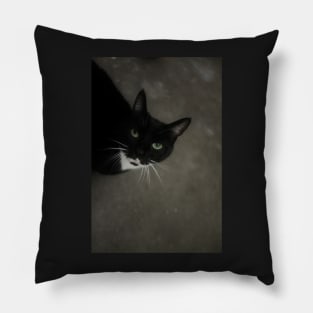 Sabina Pillow