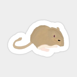 Cute golden gerbil Magnet