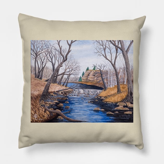 Ozark Stream Pillow by Matt Starr Fine Art