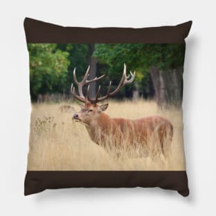 Red Deer Stag Pillow