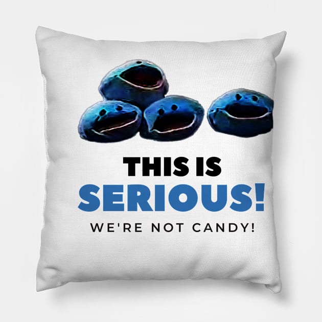 We're Not Candy! Pillow by Li’l Judy Fun Fun