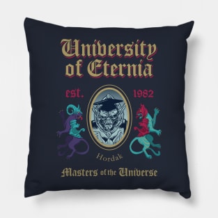 MSc in UNiverse Model 13 Pillow