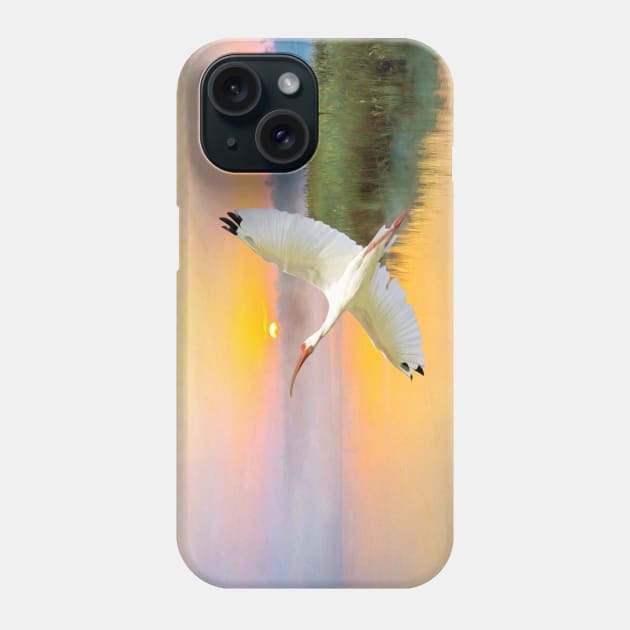 White American Ibis Bird in Flight Phone Case by lauradyoung