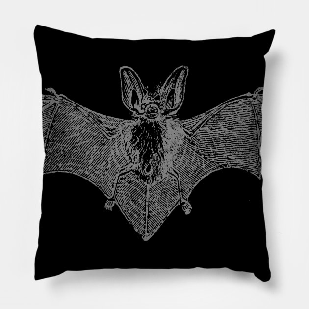 Vintage Bat Pillow by chrisraimoart