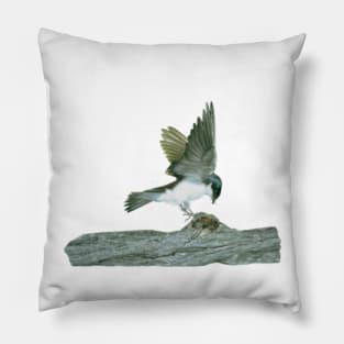 Bird On A Log Pillow