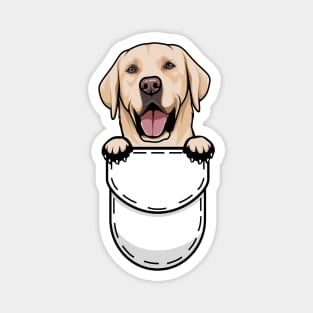 Funny Labrador Retriever Pocket Dog Magnet