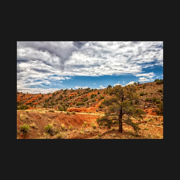 Capitol Reef National Park by Gestalt Imagery