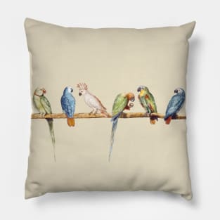 Bird Lover Pillow