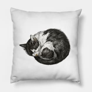 Sleeping Cat Drawing Pillow