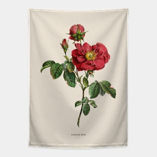 Damask Rose Antique Botanical Illustration Tapestry