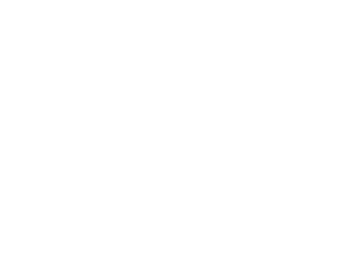 St. Bernard Training St. Bernard Dog Tricks Magnet