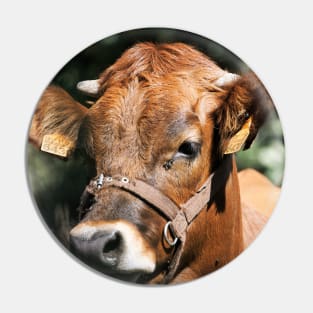 Veal Pin