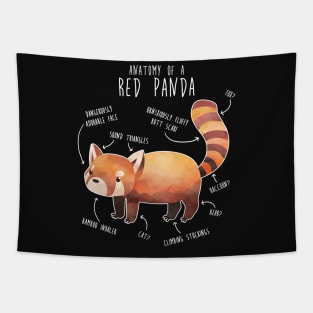 Red Panda Anatomy Tapestry