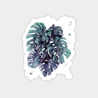 Monstera Leaves 14 Magnet