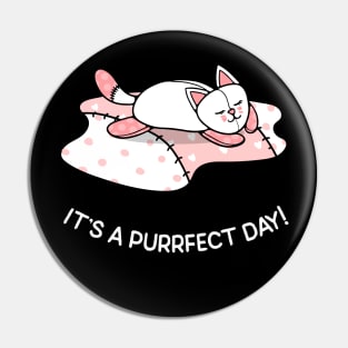 It's a Purrfect Day Pin