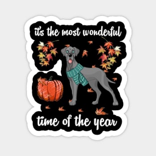 Great Dane Dog Autumn Fall Most Wonderful Time Maple Gift Magnet