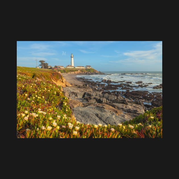 Pigeon Point Lighthouse by jvnimages