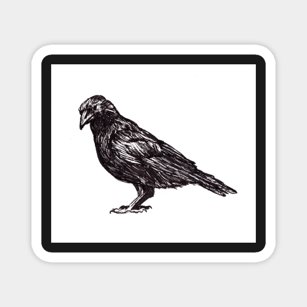 Crow Magnet by sadnettles