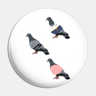 Fun pigeons Pin