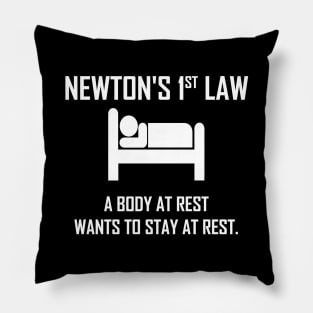 Newton's First Law- Funny Physics Pillow