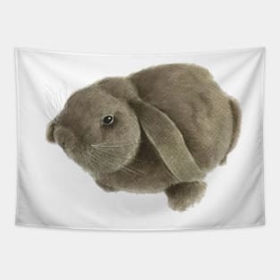 Mini Lop Rabbit ~ hand painted design Tapestry