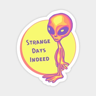 Strange Days Indeed Magnet