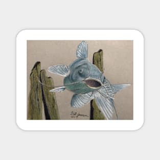 Blue Catfish Magnet