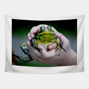 a Big bullfrog... Tapestry