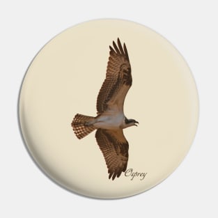 Osprey in Flight Pin