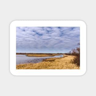 Sand Creek at Salt Plains National Wildlife Refuge by Debra Martz Magnet