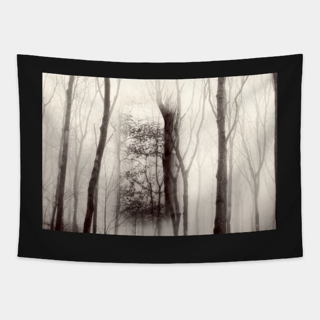 Beech tree within a foggy wood Tapestry by heidiannemorris