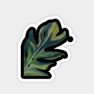 Monstera Plant Leaf Monstera Leaves Magnet