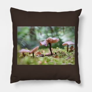 Delicate pink mushrooms on forest floor. Pillow