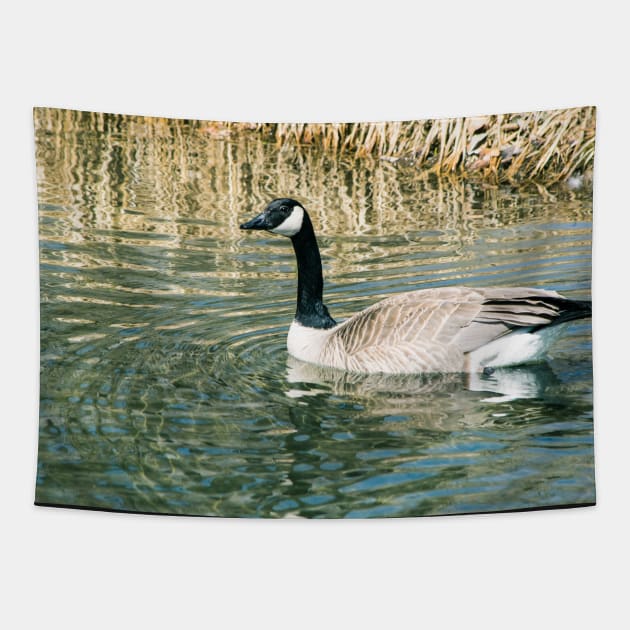 Geese on the pond Tapestry by CanadianWild418