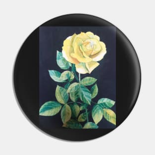 Yellow Rose watercolour painting Pin