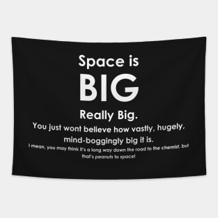 Space is BIG - Hitchhikers Guide to the Galaxy - dark background Tapestry