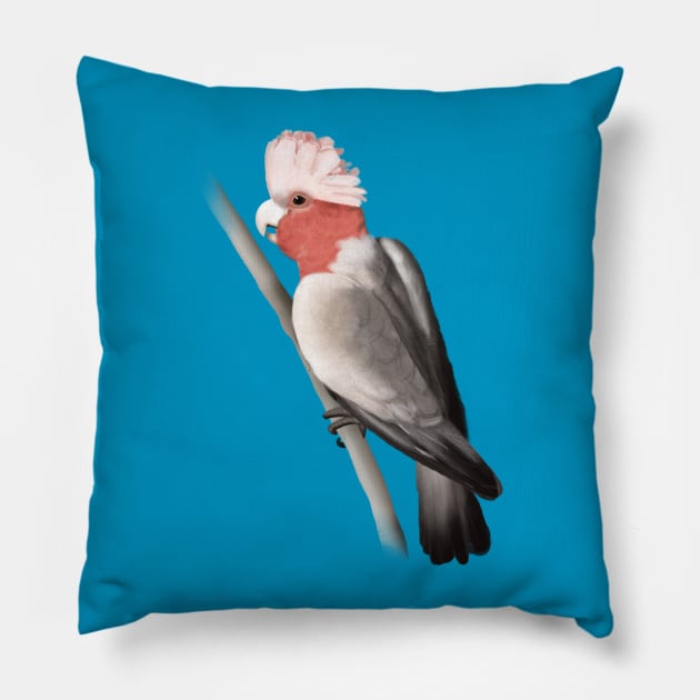 Galah Pillow by RagdollMegs