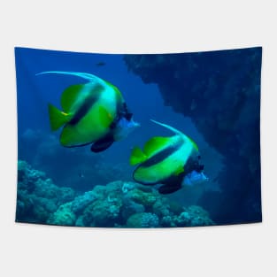 Bannerfish Tapestry