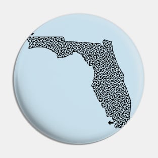 State of Florida Maze Pin