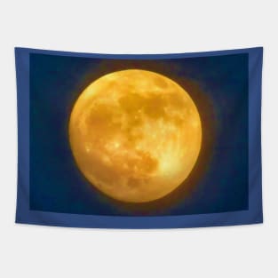 Power of the moonlight Tapestry