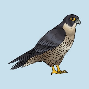 Peregrine falcon bird cartoon illustration T-Shirt