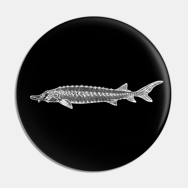 European Sea Sturgeon handmade fish drawing on black Pin by Green Paladin