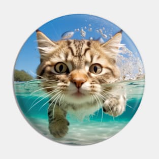 Cat Pet Animal Fun Playing Water Outdoor Pin