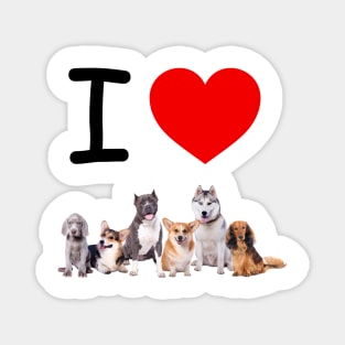 I HEART PUPPIES Magnet